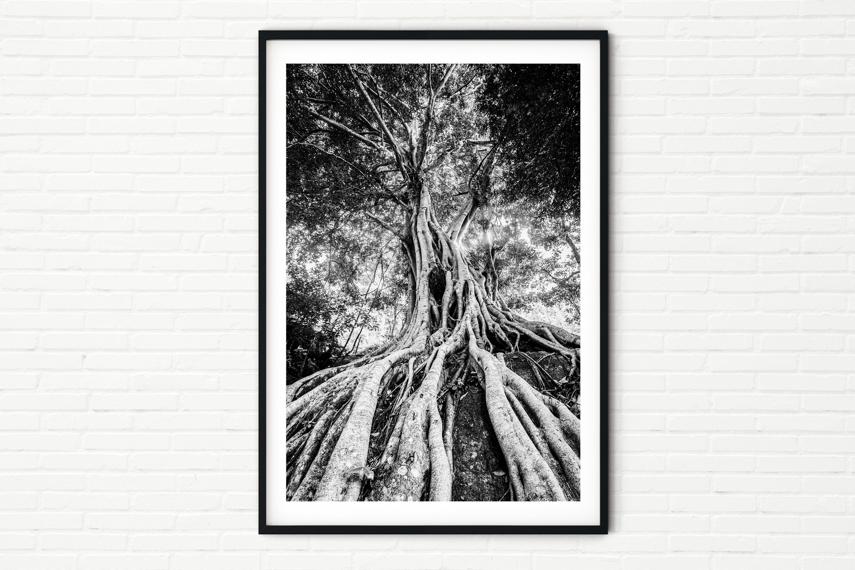 Visario Stampa Su Tela Alberi 120x80 Cm - Quadro Murale Con Telaio In Legno, Pronto Da Appendere (Made In Germany)