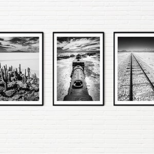 May include: A set of three framed black and white landscape photographs. One features cacti and a distant body of water, another a train, and the third a railway track extending into the distance. The images are displayed against a white brick wall.