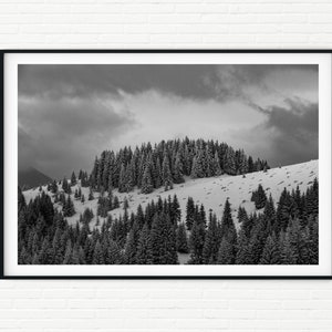 Fotografía de paisajes de bellas artes en blanco y negro Impresión de bosque de pinos y dramático paisaje oscuro nevado de invierno / Foto enmarcada extra grande