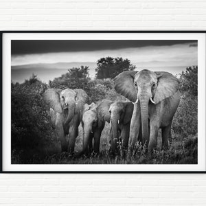 Black and White Elephant Family Photos A2 | African Wildlife Photography Prints A3 | Kenya Travel Pictures of Elephants Nature Bedroom Art