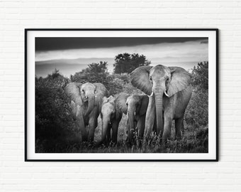 Black and White Elephant Family Photos A2 | African Wildlife Photography Prints A3 | Kenya Travel Pictures of Elephants Nature Bedroom Art