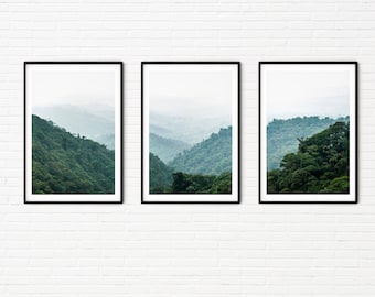 Misty Rainforest Trees Landscape Photography Prints Set of 3 | Minimalist Green Nature Wall Art A4 A3 Extra Large Photo | Ecuador Rainforest