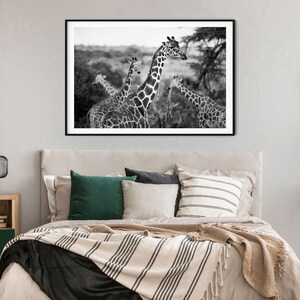 Giraffes Photography Print Black and White A4 Kenya Travel Prints A3 African Wildlife Pictures of Giraffes Animals in Nature Wall Art image 7