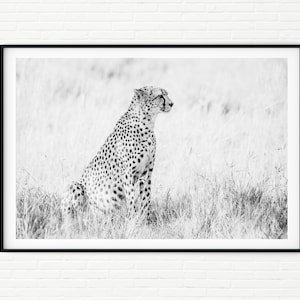 Impresión fotográfica de guepardo en blanco y negro / Impresión fotográfica de bellas artes de la vida silvestre africana / Africa Animal Pictures Arte de pared Extra grande A4 A3 A2 A1