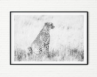 Black and White Cheetah Photography Print | African Wildlife Fine Art Photo Prints | Africa Animal Pictures Wall Art Extra Large A4 A3 A2 A1