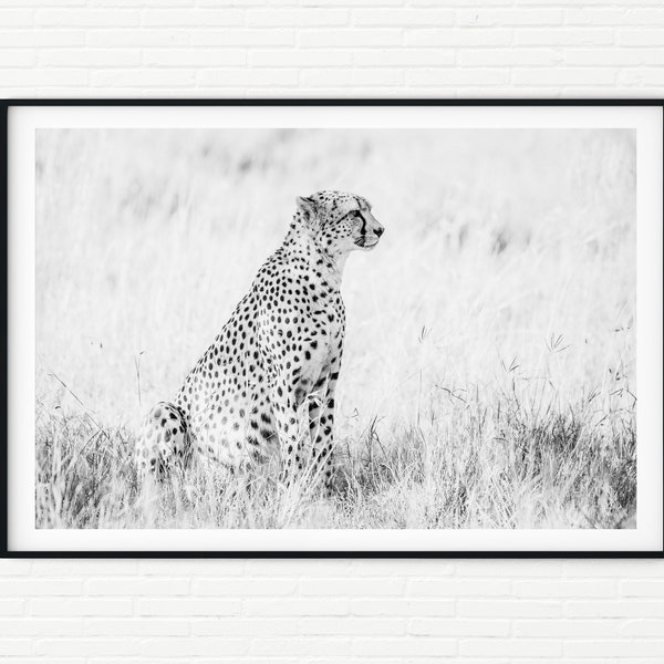 Black and White Cheetah Photography Print | African Wildlife Fine Art Photo Prints | Africa Animal Pictures Wall Art Extra Large A4 A3 A2 A1