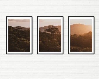 Tropical Rainforest Photography Nature Prints Set of 3 Piece Landscape Photos Framed Orange Sunset Bedroom Wall Decor Art Living Room Office