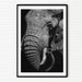 see more listings in the Prints - Wildlife Animal section