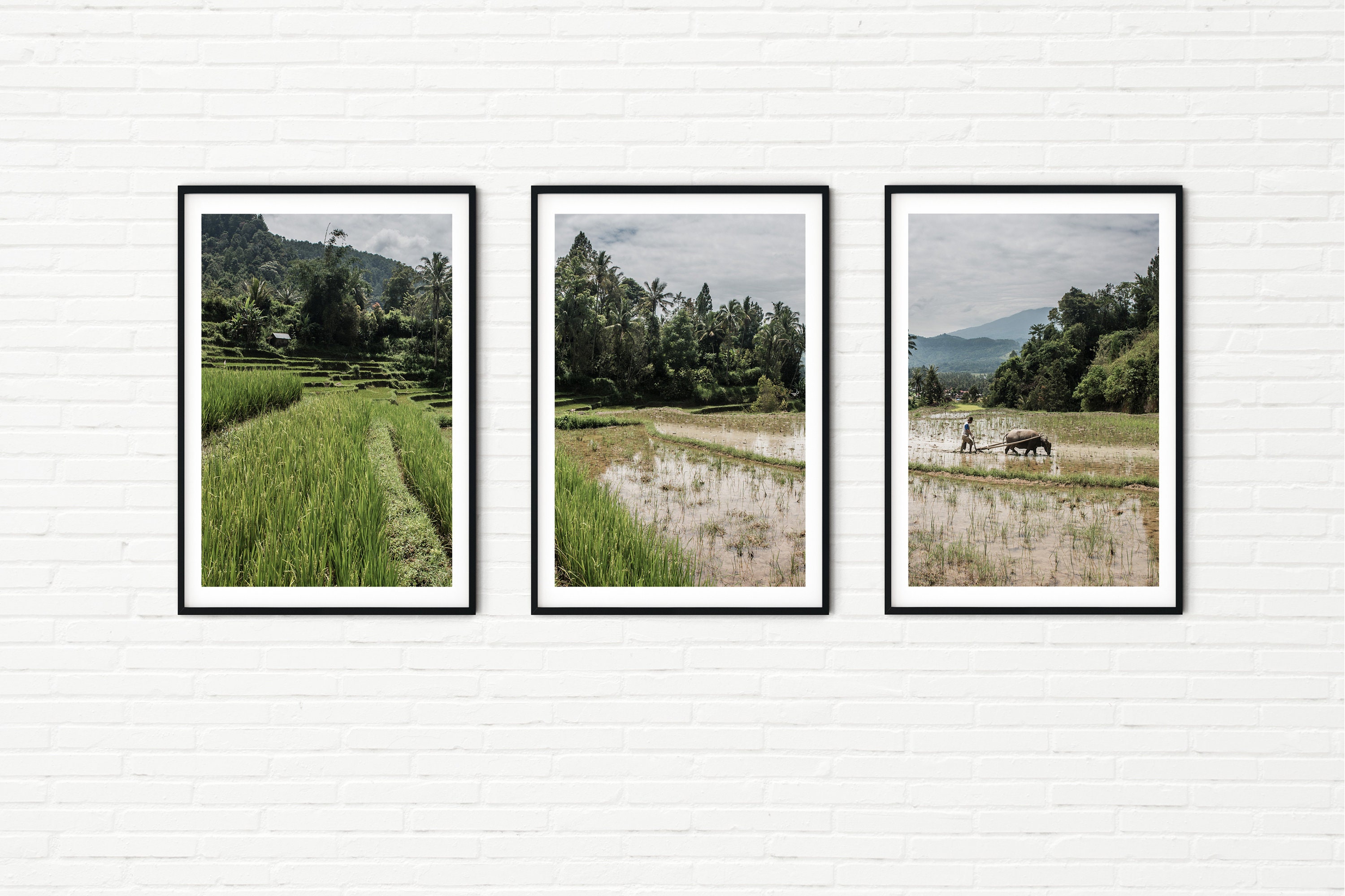 インドネシアの田園風景＿絵画 プリント 3 枚セット アジア写真風景写真 A2 | インドネシアの田んぼ