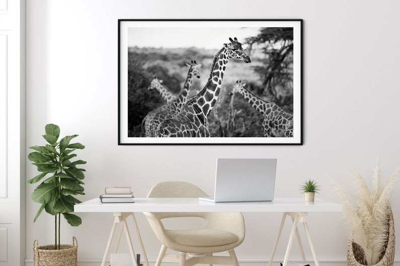 Giraffes Photography Print Black and White A4 Kenya Travel Prints A3 African Wildlife Pictures of Giraffes Animals in Nature Wall Art image 2