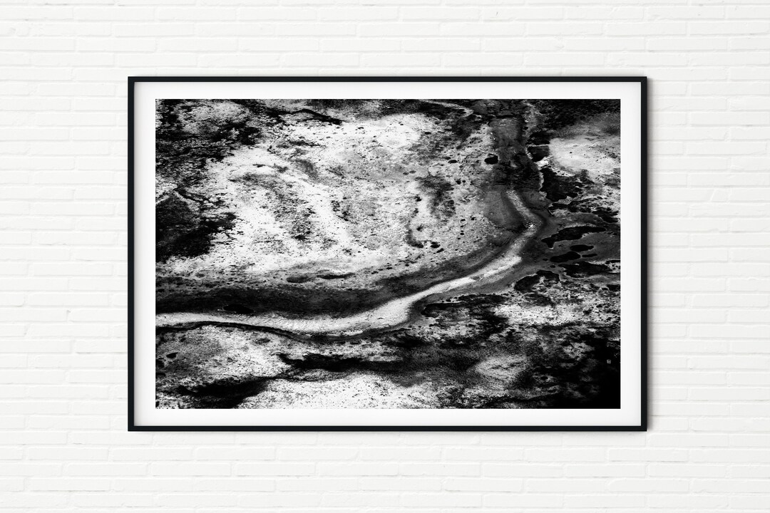 Black and White Abstract Nature A4 Print | Fine Art Photo of New