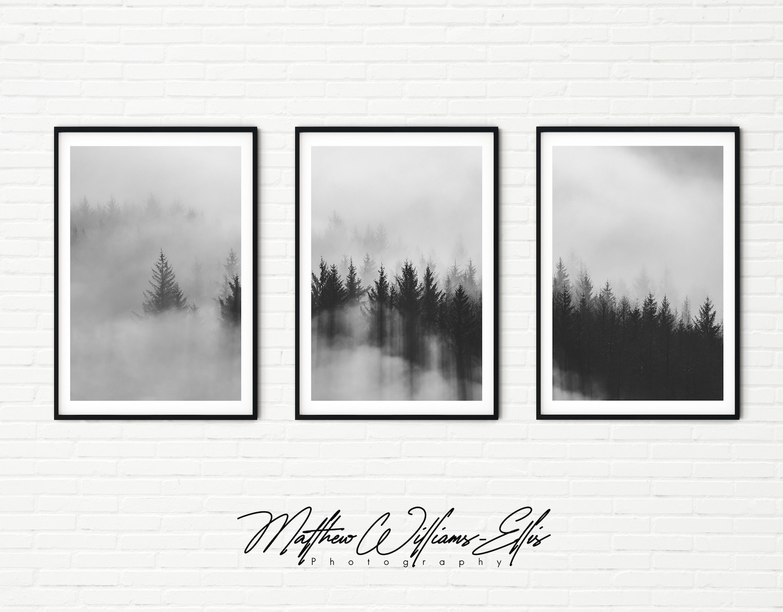 Black and White Misty Forest Nature Prints Framed Set of 3 | Etsy