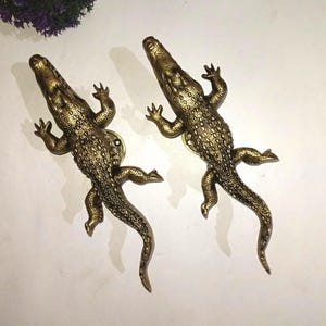 Runde Basis Alligator Griff-Paar | Messing Salzwasser Krokodil Türgriff OGL