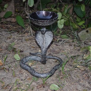 Puede incluir: Un quemador de incienso de metal plateado con forma de cobra. El quemador tiene un cuenco en la parte superior y una cabeza y cuerpo de cobra detallados. El cuerpo de la cobra forma una base circular. El fondo es un entorno natural al aire libre con hojas y tierra.