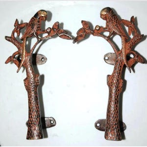 Tirador de puerta de latón con forma de loro de 8 pulgadas (par) / Tirador de puerta de latón con forma de loro en un árbol OGL
