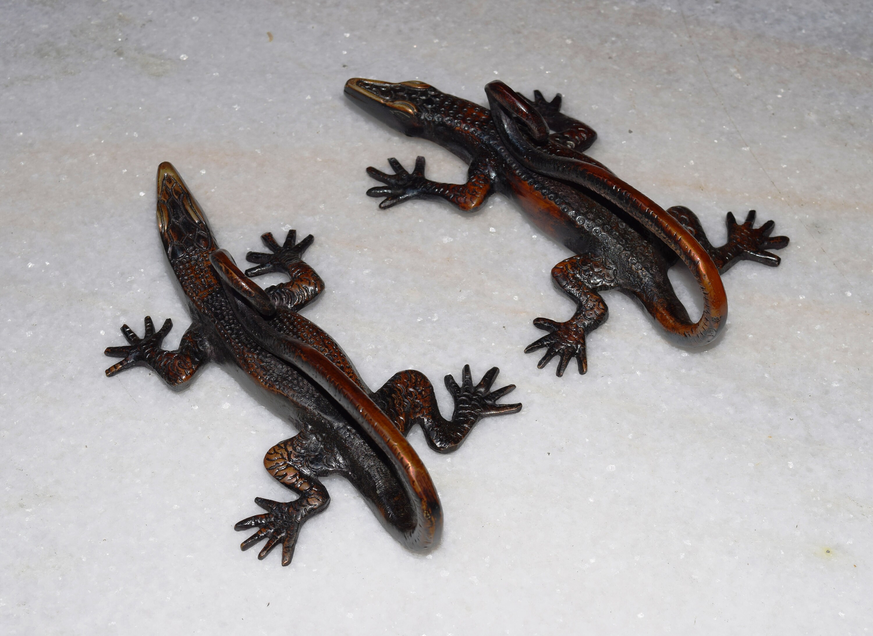 Exquisite Lizard Design 8