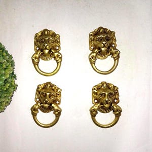 Pode incluir: Quatro aldravas antigas de latão com cabeça de leão. Cada aldrava apresenta uma cabeça de leão detalhada com uma pega em forma de anel presa na boca. As aldravas estão montadas numa superfície branca.
