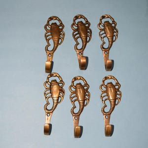 May include: Six bronze-colored metal hooks, each shaped like a scorpion. The hooks are arranged in two rows of three against a light blue background. The scorpion design includes detailed claws, body segments, and a curved tail.