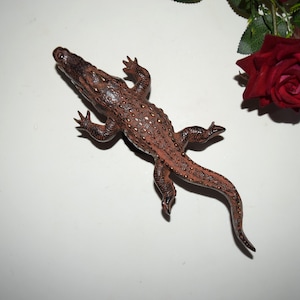 Brass Caiman Crocodile Round Base Door Pull | Crafted Alligator Shape Door Handle | Varanidae Family Animal Decoration