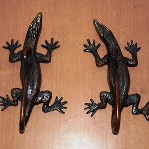 Exquisite Lizard Design 8" Door Handle | Brass Komodo Dragon Door Pull in Black & Brown Color