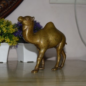 Egyptian Camel Statue | Brass Hand Crafted Animal Theme