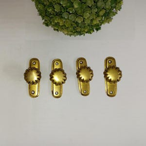 May include: Four antique brass cabinet pulls with a flower-shaped knob. Each pull has a rectangular backplate with a decorative floral design. The pulls are arranged in a row on a white surface, with a green plant in the background.