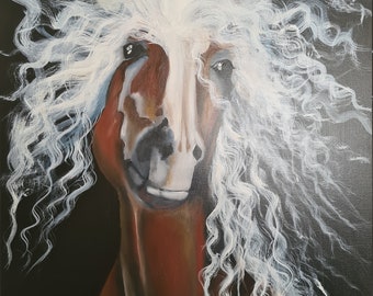 Op de afbeelding: Een schilderij van een paard met lang, wit, krullend haar. Het paard heeft een bruin gezicht en een bruine nek. De achtergrond is zwart.