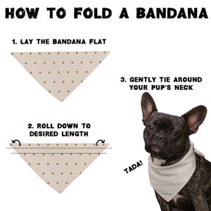 May include: How to fold a bandana for a dog. A step-by-step guide with illustrations showing how to lay the bandana flat, roll it down to the desired length, and tie it around the dog's neck. The final image shows a dog wearing the bandana.
