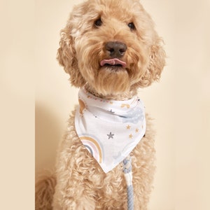 May include: A light brown dog wearing a white bandana with a rainbow, stars, and clouds design. The bandana has a light blue, pink, and yellow color scheme.