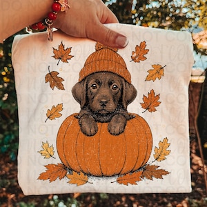 Könnte beinhalten: Ein cremefarbenes T-Shirt mit einer grafischen Illustration eines braunen Welpen, der eine orangefarbene Strickmütze trägt, in einem großen orangefarbenen Kürbis sitzt und von verstreuten orangefarbenen Herbstblättern umgeben ist.