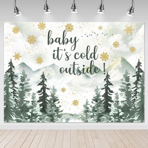 May include: A winter wonderland backdrop with a snowy mountain range, pine trees, and a gold glitter sky. The text "baby it's cold outside!" is written in gold lettering.