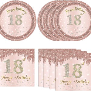 18th Birthday Dessert Plates and Napkins Disposable Tableware Serves 20 Rose Gold 18th Birthday Decorations Girl&#39;s 18th Decorations