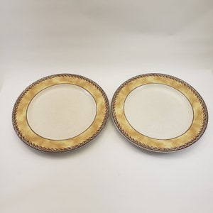 Zestaw 2 talerzy obiadowych Mikasa Tempe Intaglio Stoneware (11 cali)
