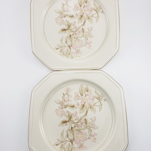 Mikasa Romantics Cherry Blossom set of 2 dinner plates 1980-81