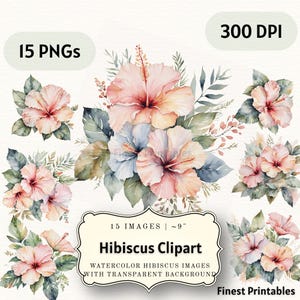 Watercolor Hibiscus Clipart Bundle: Tropical Floral Images with Transparent Background (15 PNG Digital Download)