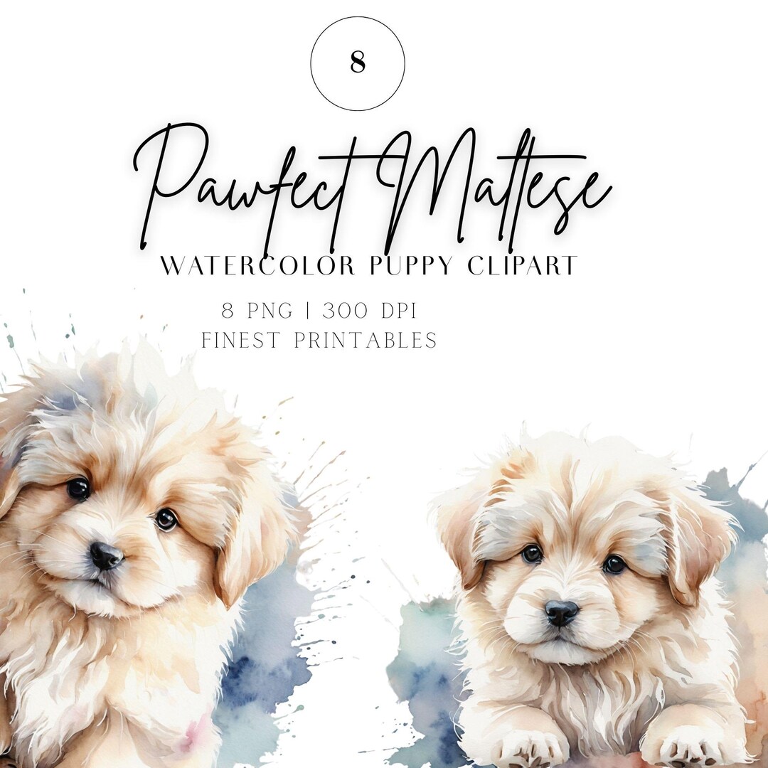Watercolor Maltese Puppy Clipart | Cute White Dog PNG Bundle | Digital ...