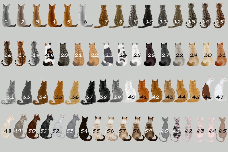 May include: A chart of 65 different cat illustrations, each numbered, with the cats sitting in a row facing the viewer. The cats are in various colors and patterns, including black, white, gray, brown, orange, tabby, calico, and tuxedo.
