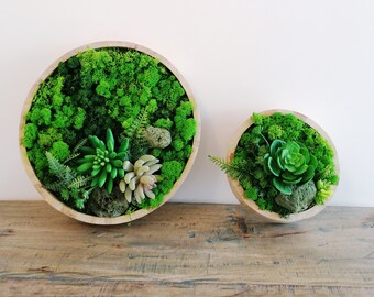 Moss and Faux succulent in round frame, faux botanical boho wall Decor, Real-touch Artificial Succulents and moss, round forest wall hanging