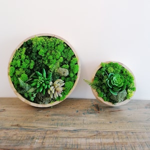 Faux Moss Wall Hanging