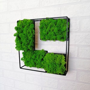Moss art, Modern green wall hanging, Preserved moss, 3D frame, loft green wall Decor, Green decor in modern style