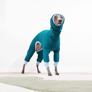 Whippet Kleidung nach Maß - DAIKON - Maßanfertigung Warmer Fleece Für Iggy, Whippet, Windhund, Hochwertige Handgefertigte Hundebekleidung, U.K. Shop
