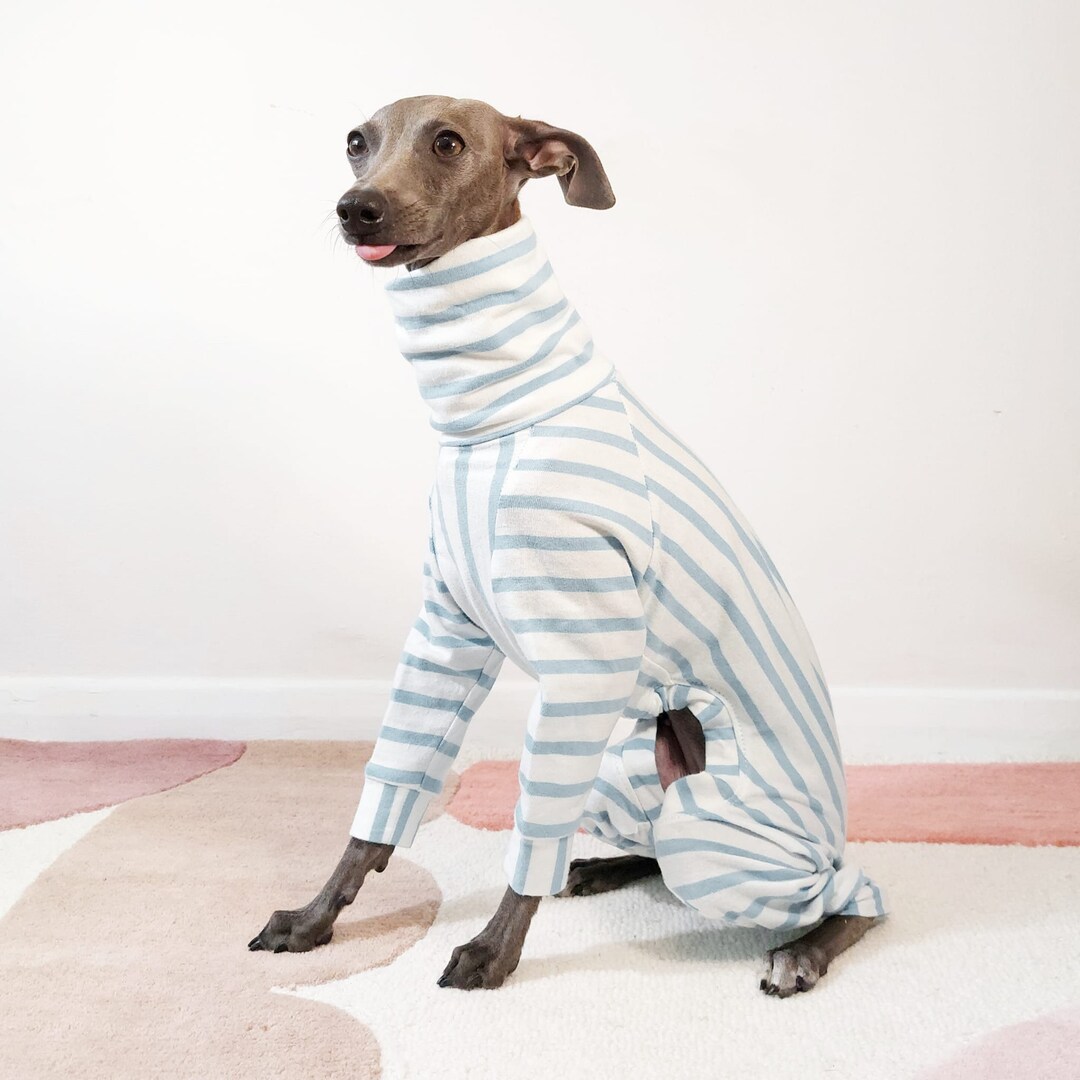 Italian Greyhound Clothes - SAGO - Whippet Clothes, 100% Organic Cotton ...