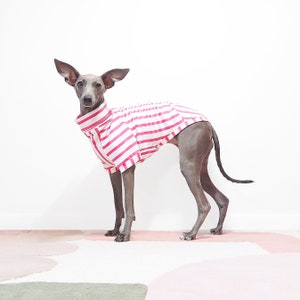 Whippet Pyjamas - GUAVA - UK Milled Organic Cotton Dog Clothes , Bespoke Dog Clothes Made In London, Italian Greyhound Pyjamas