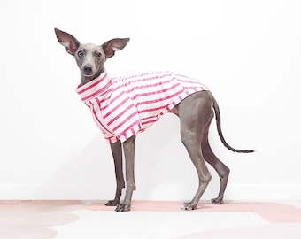 Pink Striped Organic Cotton Dog Pajamas – Whippet & Greyhound Clothes