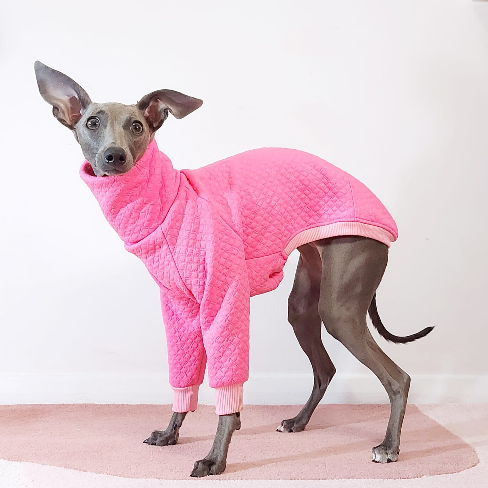 Quilted Pink Dog Coat ZAKURO Sighthound 