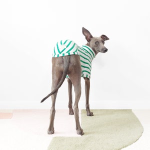 Maßgeschneidertes Hunde-T-Shirt PETIT POIS Nachhaltig hergestellte Hundebekleidung aus Bio-Baumwolle, grünes, maßgeschneidertes Hunde/Windhund-Top, UK-Shop Bild 3