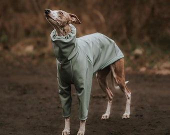 Sage Waterproof Dog Raincoat – Fleece-Lined, Made-to-Measure