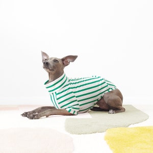 Maßgeschneidertes Hunde-T-Shirt PETIT POIS Nachhaltig hergestellte Hundebekleidung aus Bio-Baumwolle, grünes, maßgeschneidertes Hunde/Windhund-Top, UK-Shop Bild 6