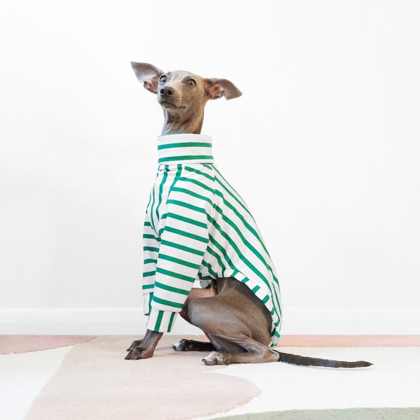 Pyjama sur mesure pour chien - PETIT POIS - Vêtements pour lévriers italiens - Vêtements Whippet rayés, Vêtements pour chiots, coton bio doux, Boutique britannique