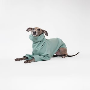 Waterproof Dog Raincoat - SAGE WATERPROOF COAT - Made to Measure Winter Coat For All Breeds, Bespoke Raincoat For Dogs, Uk Shop